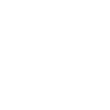 VIP Home Group logo